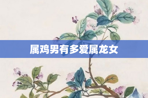属鸡男有多爱属龙女