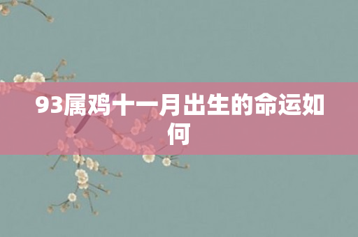 93属鸡十一月出生的命运如何