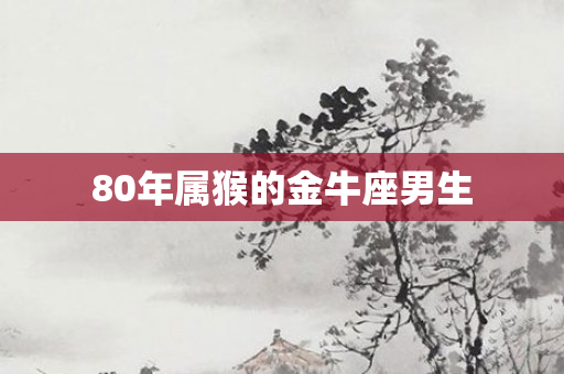 80年属猴的金牛座男生