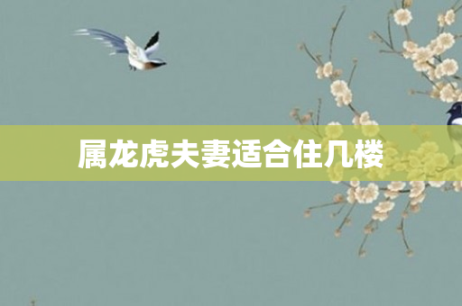 属龙虎夫妻适合住几楼