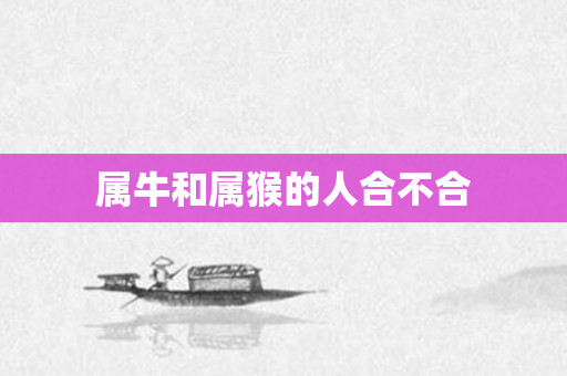 属牛和属猴的人合不合