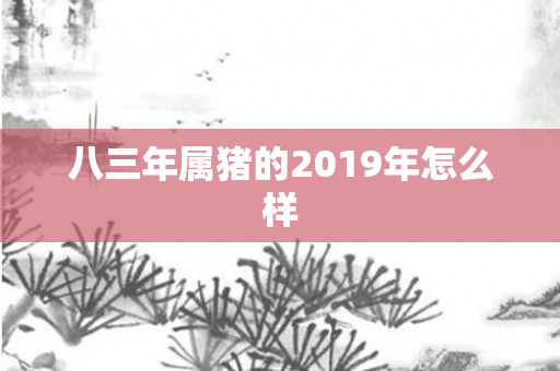 八三年属猪的2019年怎么样