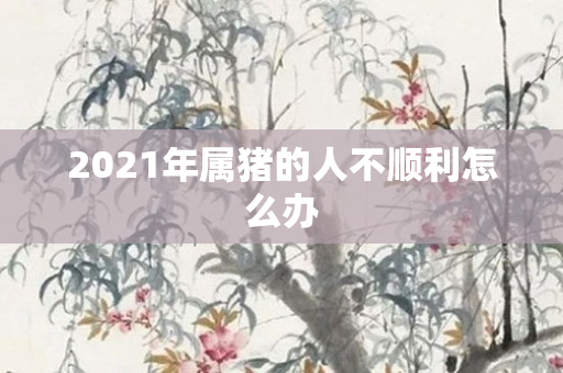 2021年属猪的人不顺利怎么办
