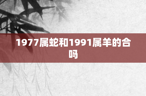 1977属蛇和1991属羊的合吗