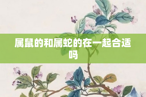 属鼠的和属蛇的在一起合适吗