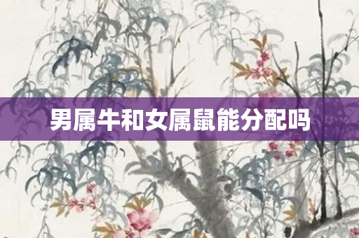 男属牛和女属鼠能分配吗