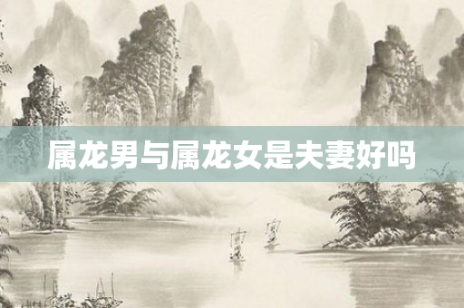 属龙男与属龙女是夫妻好吗