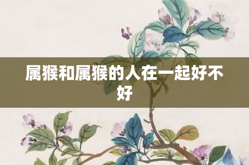 属猴和属猴的人在一起好不好