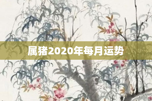 属猪2020年每月运势