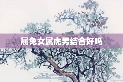 属兔女属虎男结合好吗
