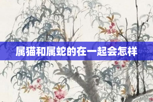 属猫和属蛇的在一起会怎样