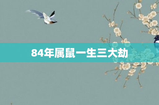 84年属鼠一生三大劫