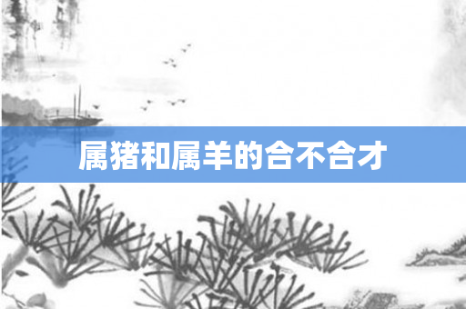属猪和属羊的合不合才