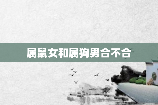 属鼠女和属狗男合不合