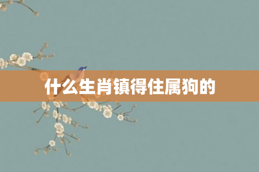 什么生肖镇得住属狗的
