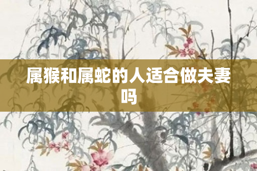 属猴和属蛇的人适合做夫妻吗