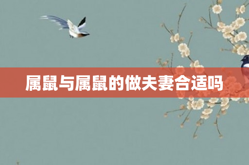 属鼠与属鼠的做夫妻合适吗