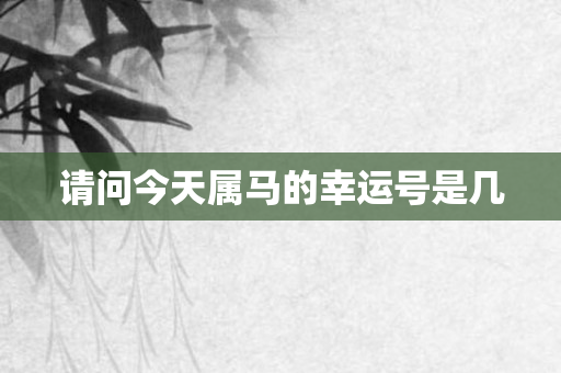 请问今天属马的幸运号是几