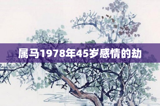属马1978年45岁感情的劫