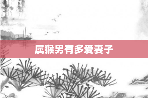 属猴男有多爱妻子