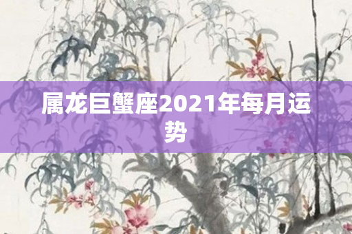 属龙巨蟹座2021年每月运势