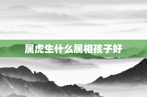 属虎生什么属相孩子好