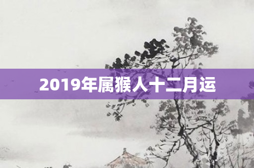2019年属猴人十二月运