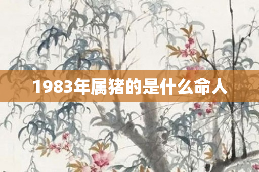 1983年属猪的是什么命人