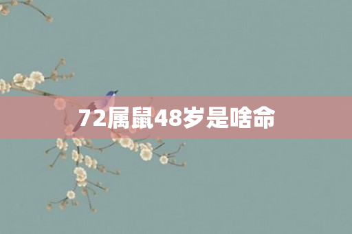 72属鼠48岁是啥命