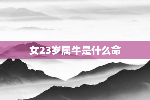 女23岁属牛是什么命