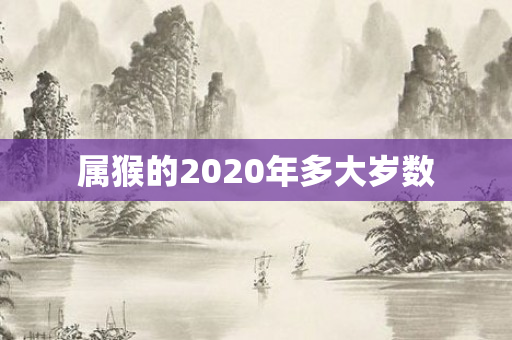 属猴的2020年多大岁数