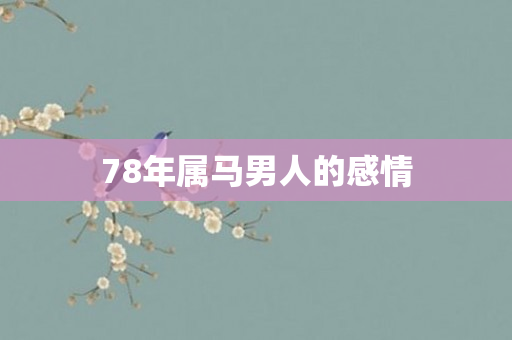 78年属马男人的感情