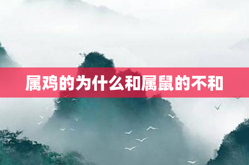 属鸡的为什么和属鼠的不和