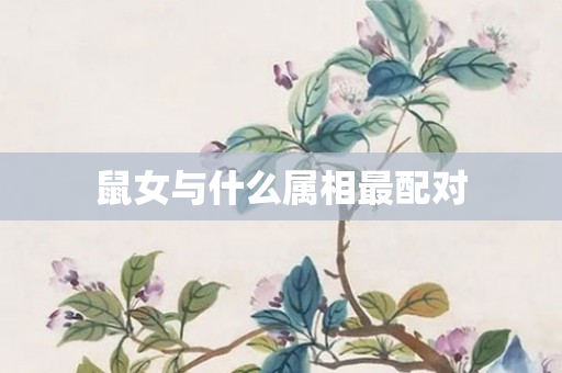 鼠女与什么属相最配对