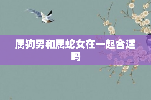 属狗男和属蛇女在一起合适吗