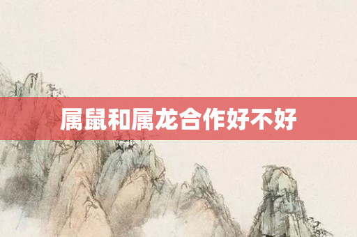 属鼠和属龙合作好不好