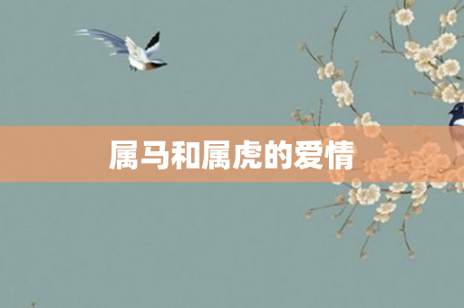 属马和属虎的爱情