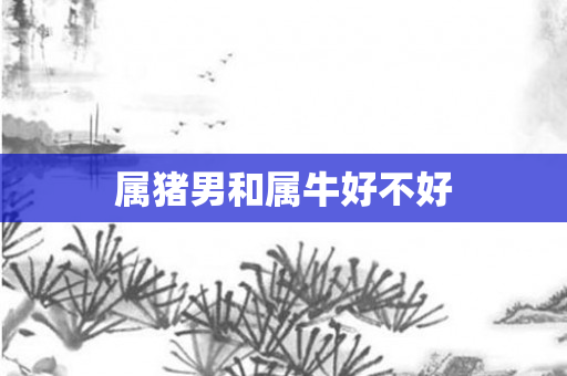 属猪男和属牛好不好