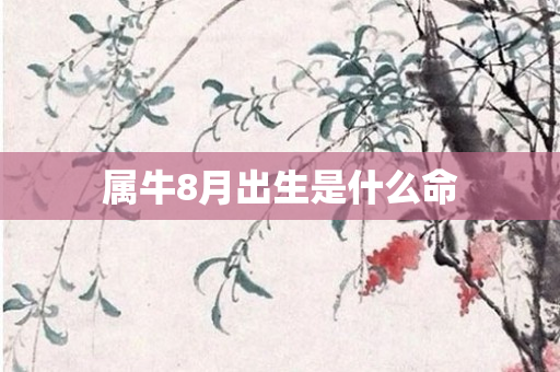 属牛8月出生是什么命