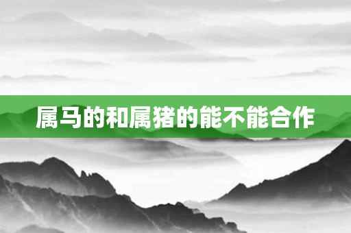 属马的和属猪的能不能合作