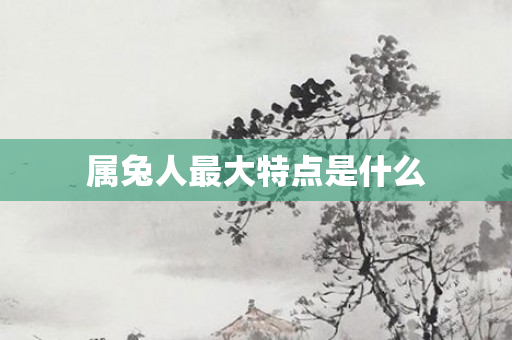 属兔人更大特点是什么
