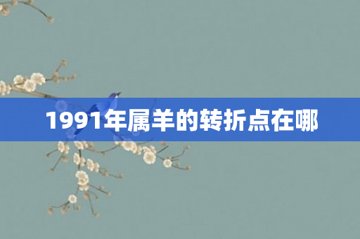 1991年属羊的转折点在哪
