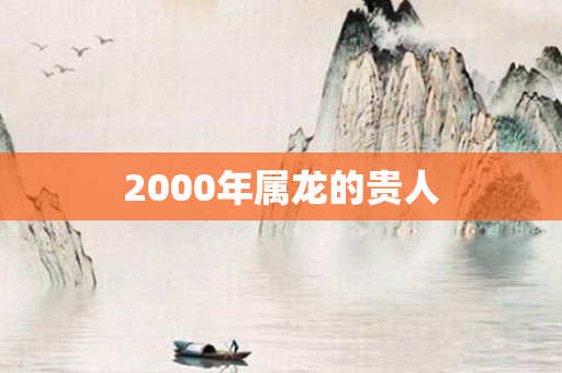2000年属龙的贵人