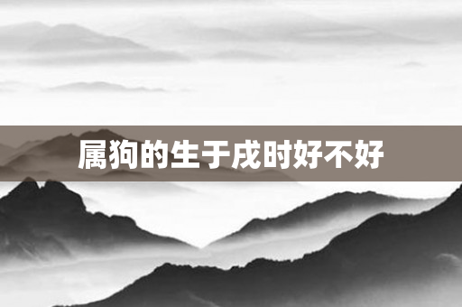 属狗的生于戌时好不好