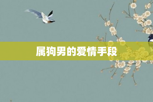 属狗男的爱情手段