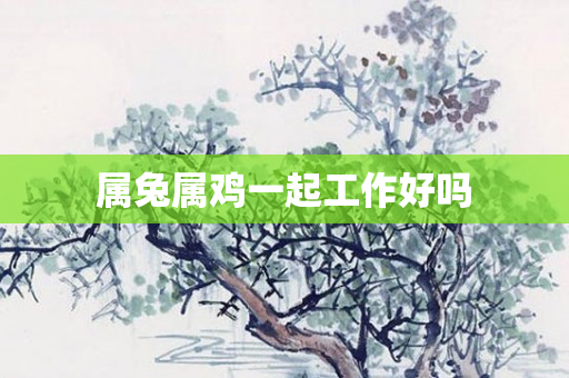 属兔属鸡一起工作好吗
