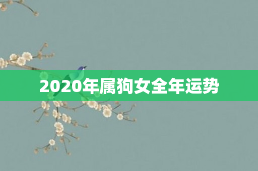 2020年属狗女全年运势