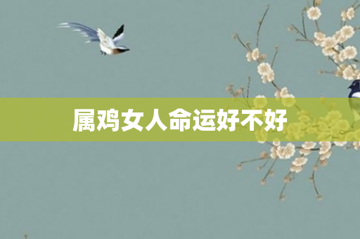 属鸡女人命运好不好