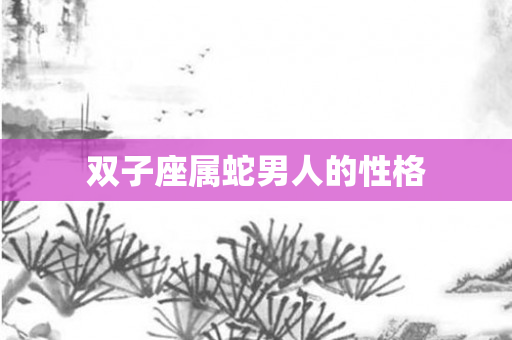 双子座属蛇男人的性格