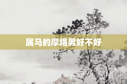 属马的摩羯男好不好